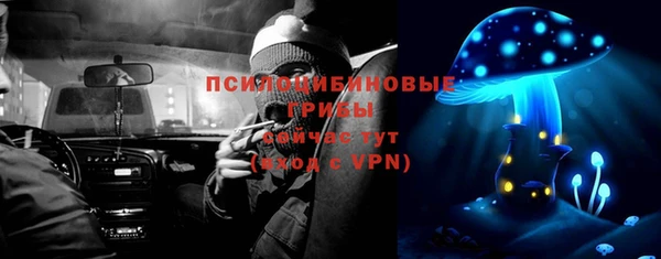 ПСИЛОЦИБИНОВЫЕ ГРИБЫ Алзамай