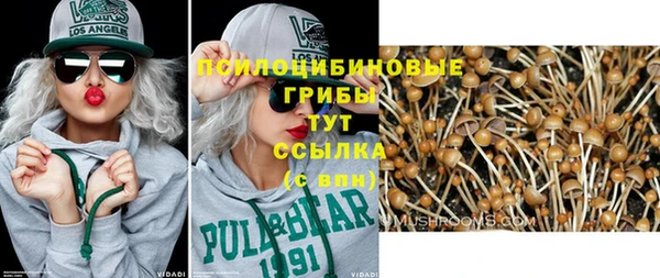 сатива Саяногорск