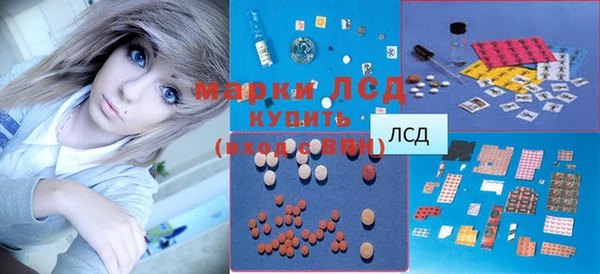 ПСИЛОЦИБИНОВЫЕ ГРИБЫ Алзамай