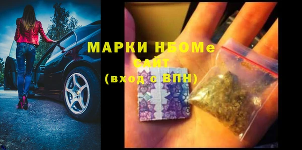 ПСИЛОЦИБИНОВЫЕ ГРИБЫ Алзамай