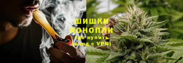 ПСИЛОЦИБИНОВЫЕ ГРИБЫ Алзамай